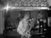 IMG00396-20091127-2326